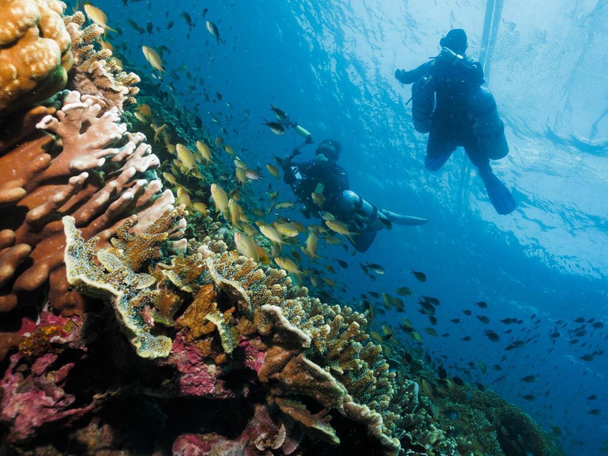 Cebu Seaview Dive Resort Moalboal Zewnętrze zdjęcie