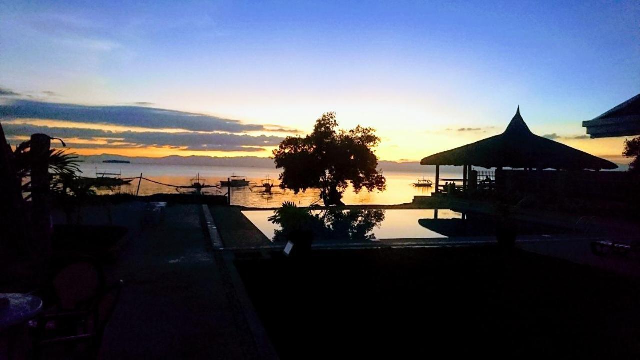 Cebu Seaview Dive Resort Moalboal Zewnętrze zdjęcie